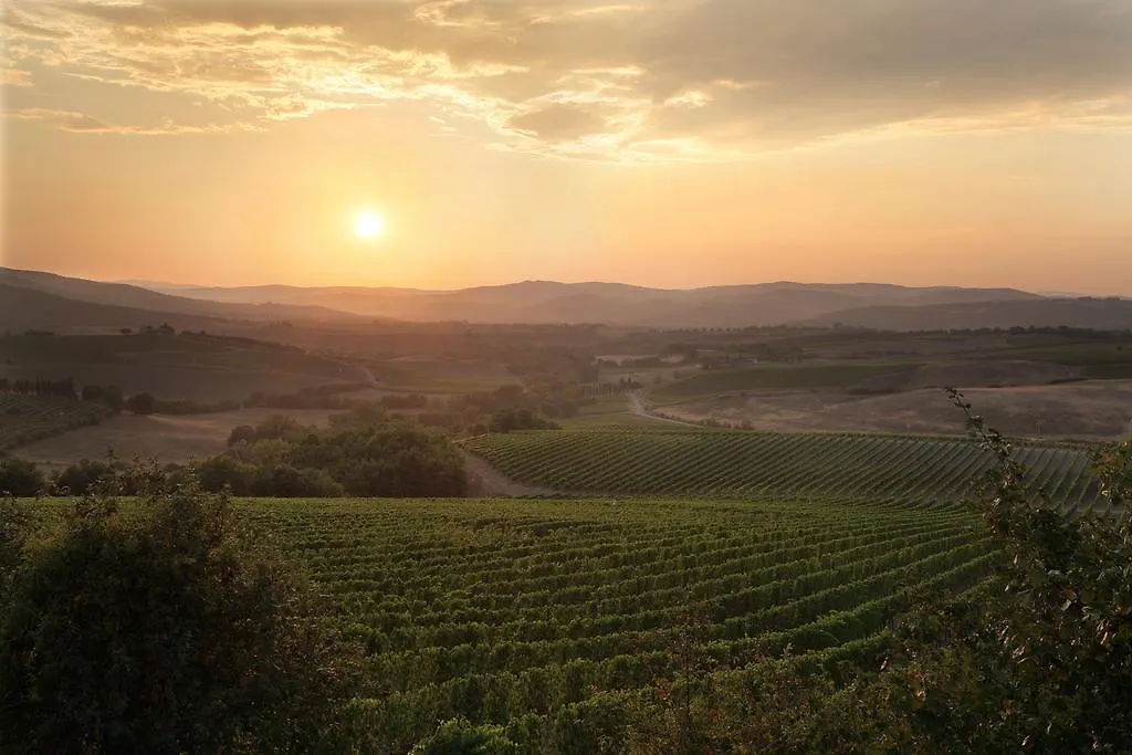 Azienda Agricola A Bonacchi Montalcino