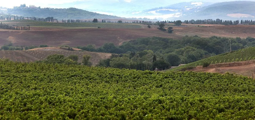 Farm stay Azienda Agricola A Bonacchi Montalcino