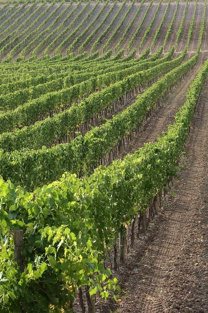Farm stay Azienda Agricola A Bonacchi Montalcino