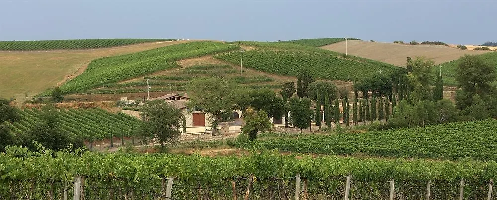 Azienda Agricola A Bonacchi Montalcino