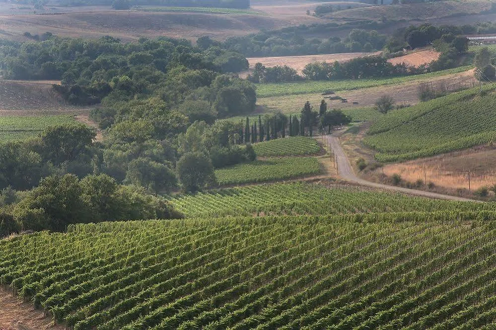 Azienda Agricola A Bonacchi Montalcino 0*,