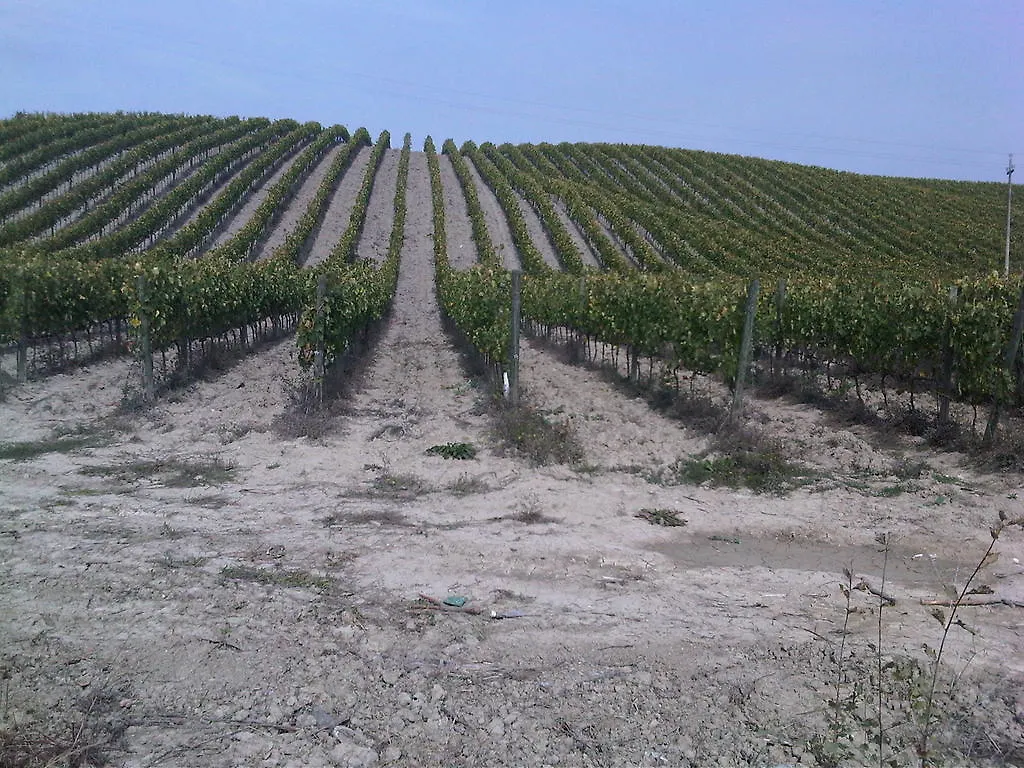 Azienda Agricola A Bonacchi Montalcino 0*,